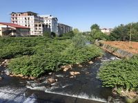 Der Fluss, welcher 2000 der beim Dammbruch Cyanid und Schwermetalle in Theiss und Donau trug