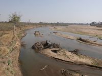 Jenseits des Flusses liegt Botswana