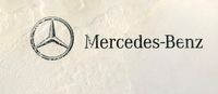 Weiter geht es in die Stadt Debrecen (220&#039;000 Ew.) in die Mercedes Garage ...