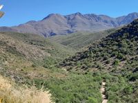 Zwischen der Kleinen und der Grossen Karoo hat es ein Gebirge